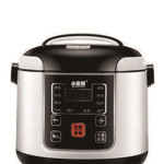 Small Car Electric 110V English Mini Rice Cooker