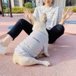 Short Sleeve Pet Parent-child Suit