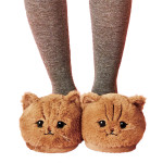 Indoor Home Warm And Cute Cartoon Coffee Cat Slippers