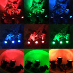 Solar colorful underwater light