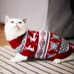 Christmas Cat Dog Sweater Pullover Winter Clothes