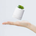 Bluetooth Audio Out Wireless Portable Succulent Plant Light