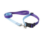 Nylon Pet Collar Traction Rope Set