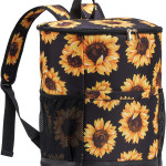 2022 New Insulated Backpack Outdoor Oxford Cloth Picnic Ice Pack In Stock Wholesale