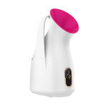 Household Nano Spray Face Steamer