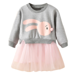 New spring infant skirt 1 long sleeved dress 2 female baby cartoon 3 4 princess dress lace dress tide