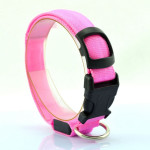 Pet Supplies Dog Luminous Collar Luminous Collar Fluorescence