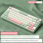 Wireless Mechanical Keyboard Bluetooth The Third Mock Examination