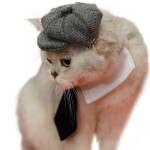 Pet Cat Gentleman Beret Tie Photo Props