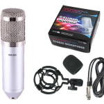 Live Broadcast Sound Card Set With Condenser Microphone