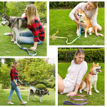 Nylon Pet Collar Traction Rope Set