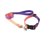 Nylon Pet Collar Traction Rope Set