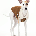 Pet Dog Cat Autumn And Winter Clothes Brown Suede Jacket