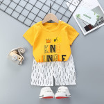 Summer Cotton Children's Short-sleeved Shorts Suit