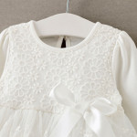 Baby clothing lace princess dress dress 0-12 months of spring and autumn direct manufacturers