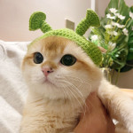 Spring And Summer Plankton Young Wool Knitted British Short Pet Hat