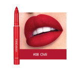 Not Easy To Fade Matte Lipstick Pen