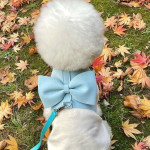 Pet Fleece Handmade Large Bow Chest Strap Lead Rope