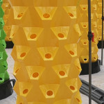 Pineapple Tower Soilless Vegetable Cultivation Facilities Planting Equipment