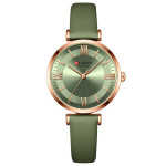 Watch Fashion Ladies Quartz Ladies Watch