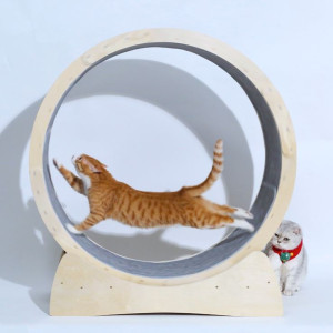 Special Toys For Cat Treadmill Roller