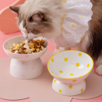 Dot Cat Bowl Ceramic High Foot Spine Protection Pet