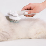 Pet Cat Brush Dog Slicker Brush Double-headed Negative Ion One-button Self Cleaning Dog Cat Hair Removal Pets Products