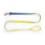 Nylon Pet Collar Traction Rope Set