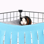 Hamster Hammock With Tassels On Three Sides