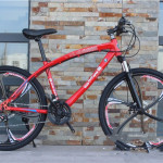 BMW Cross Country Mountain Bike Double Disc Brake