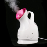 Nano Ion Steaming Facial Beauty Instrument Cleaner