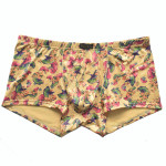 Gingko Leaf Printing Large Size Men's Boxers