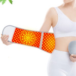 Argy Wormwood Heating And Warm-keeping Waist And Abdomen Support Waist Supporter