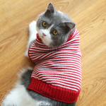 Autumn And Winter Clothes British Short Blue Cat Sweater