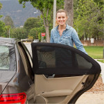 Car Sunscreen And Mosquito Screens And Catkins