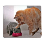 Cat Gift Cartoon Game Cartoon Mouse Pad