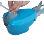 Plastic Racing Pigeon Holder Easy Bird Fixed Frame Rack Medicine Feeder Light Blue