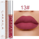 Women's Fashion Simple Waterproof Lip Gloss