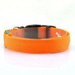 Pet Supplies Dog Luminous Collar Luminous Collar Fluorescence