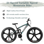 26-Inch 21-Speed​​High-Carbon Steel Frame, Beach And Snow Fat Tire Mountain Bike