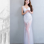 Lace Transparent Mermaid Evening Dress