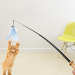 Funny Cat Stick Long Rod Gnawing Feather Retractable