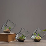 Oblique Square Small Glass Greenhouse Transparent Plant Flowerpot