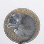 Round Corrugated Cat Grab Board Simple Bowl Shape