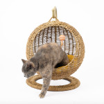 Woven Round Cat Litter Pet Bed Hanging Basket