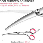 Stainless Steel Pet Scissors