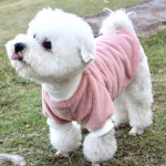 Pet Clothing Warm In Autumn And Winter Casual Dog Cat Clothing Mink Fur Thickened