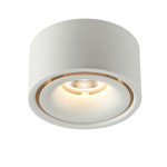 LED Surface Mounted Round Nordic Ceiling Spotlight