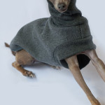 Italy's Small Lingti Whitby Bellington Clothes Rocking Fleece Dog Thickening Warm