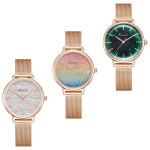 Rainbow Watch